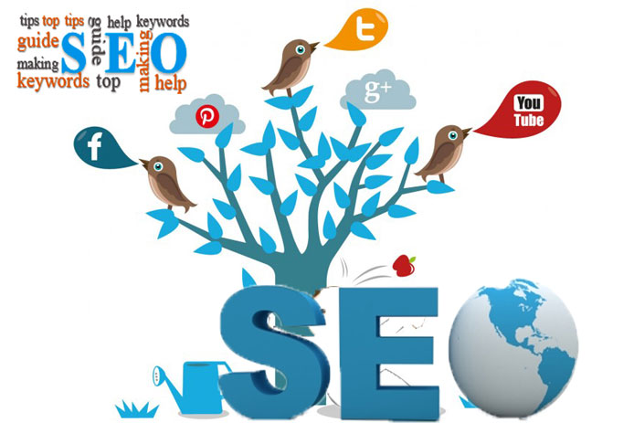 SEO trên mạng xã hội hiệu quả nhất cho web