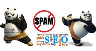 Thuật toán google Panda | Hướng dẫn seo web